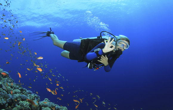 Bubbles or Not Diving 6