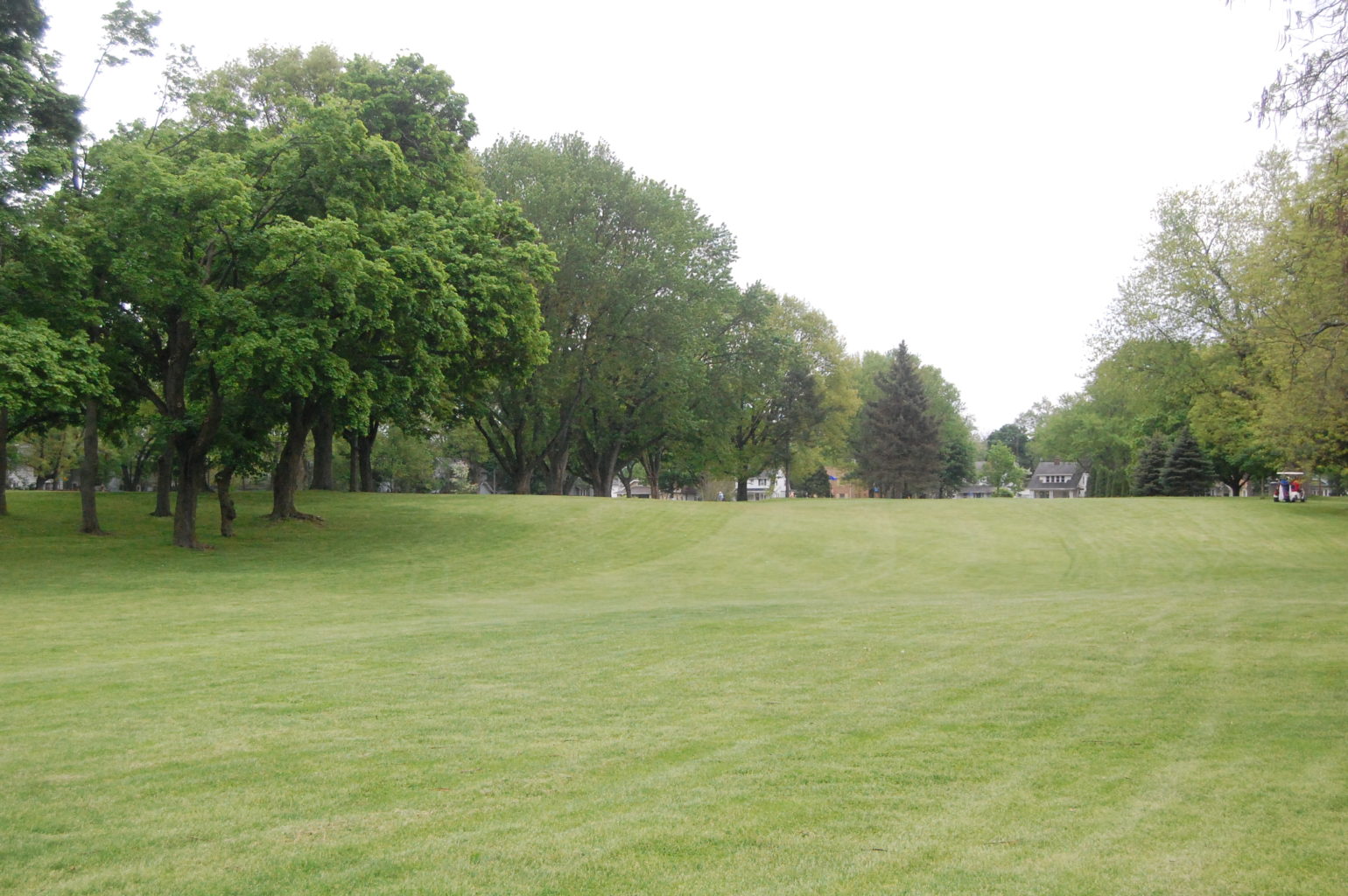 DSC_0107-1540x1024