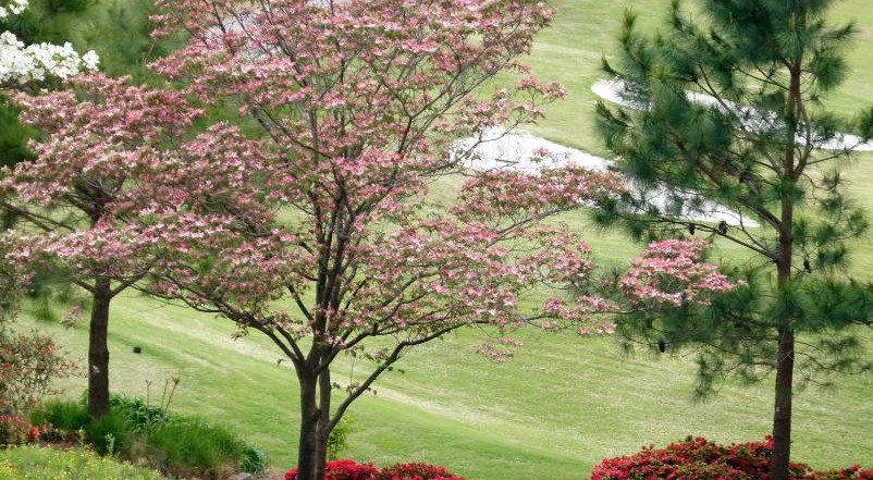 Indian Springs 2.jpg