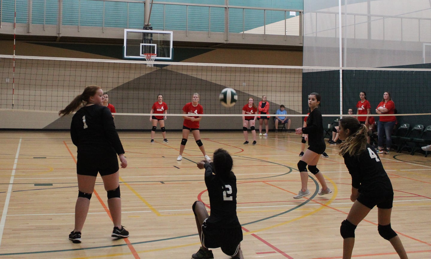 Anderson Recreation Center - Volleyball