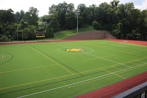 wildcat stadium 2