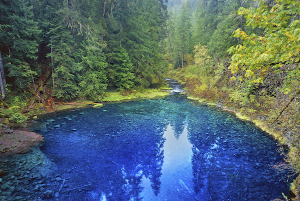 McKenzie River National Recreation Trail 3