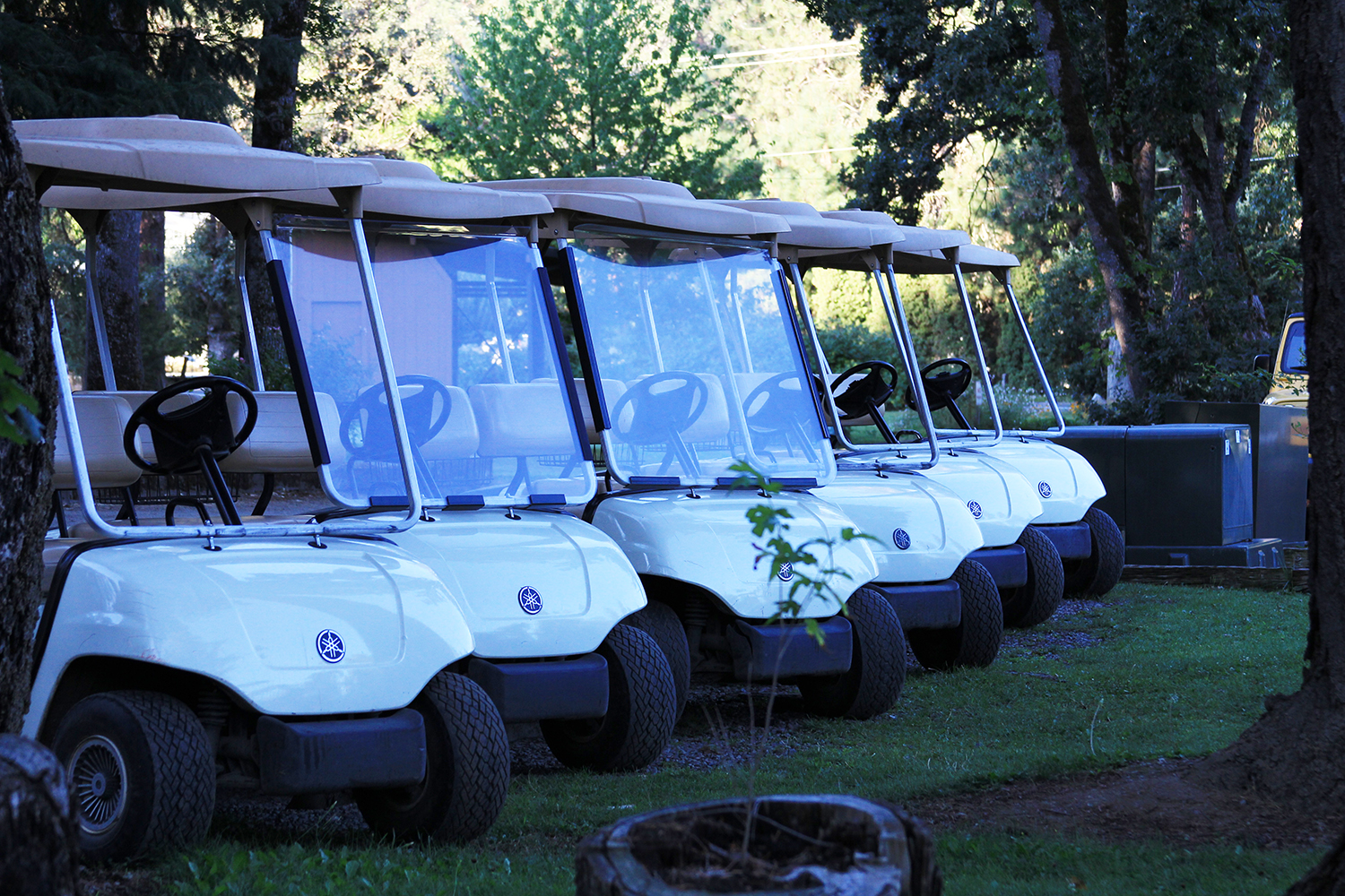 Laurel Hill Golf Course5