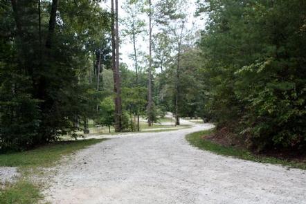 Whetstone Horse Camp