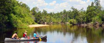Blackwater River 1