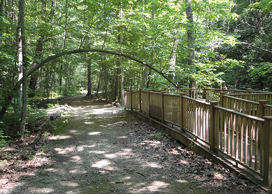 Pine River Nature Center 2