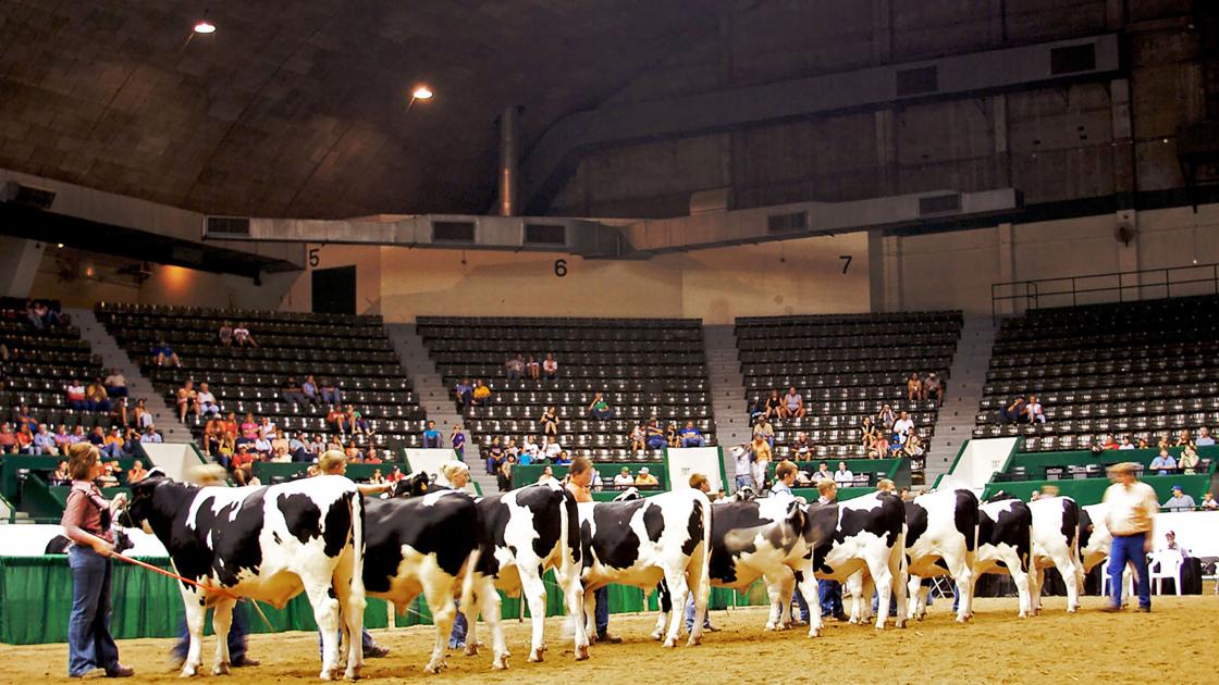 Fair 5