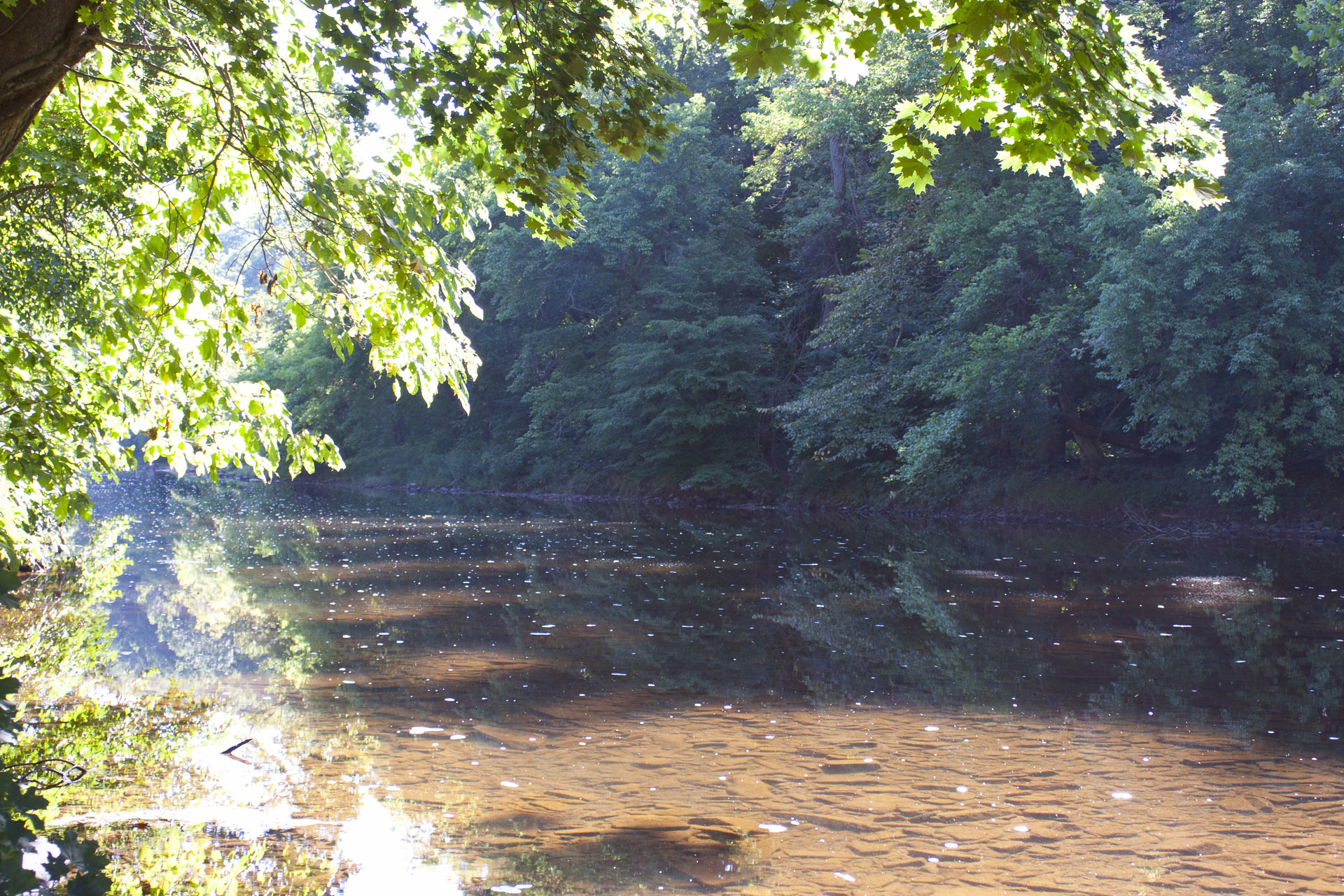 Evansburg State Park5