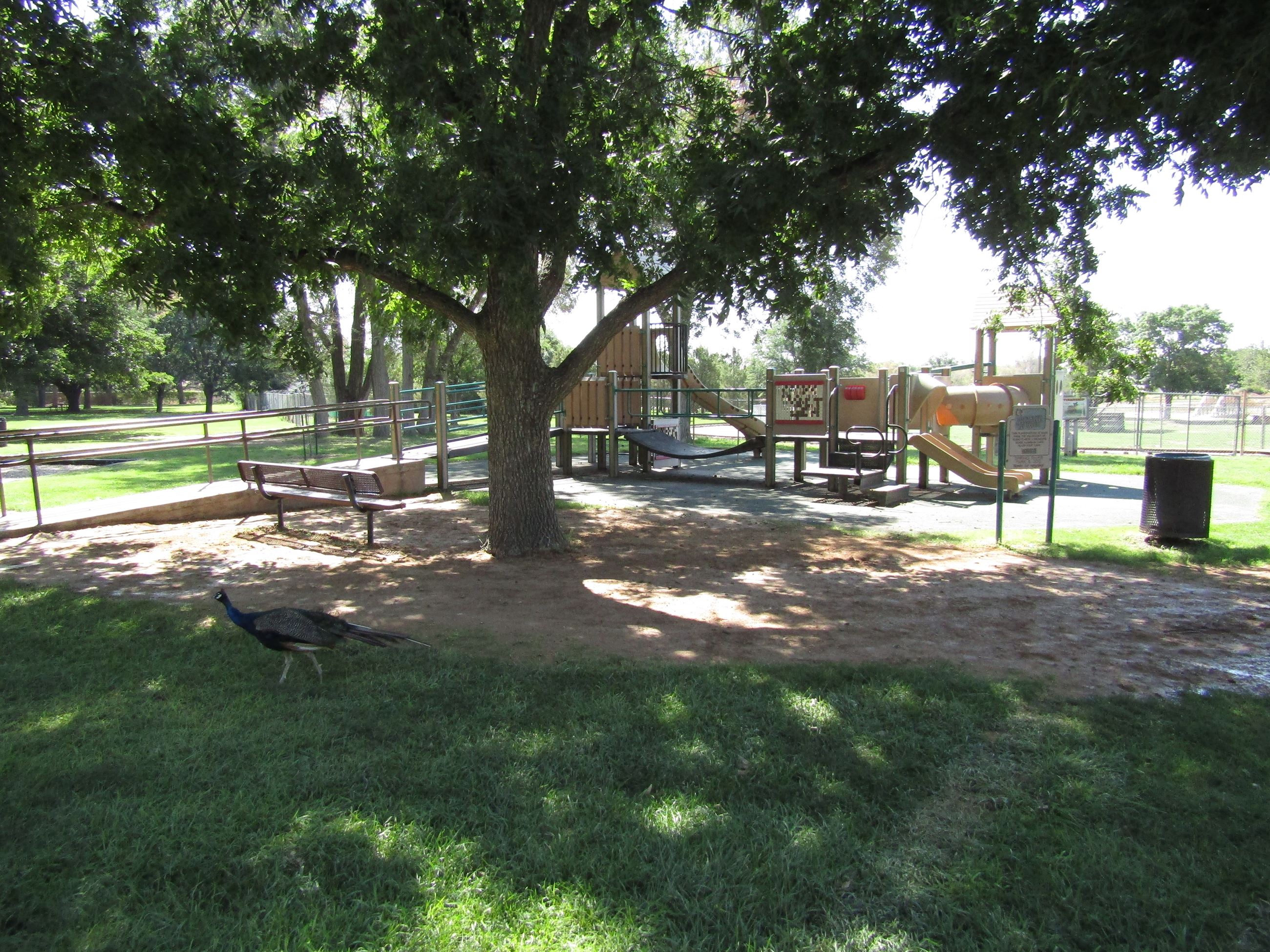 Spring River Zoo Park2