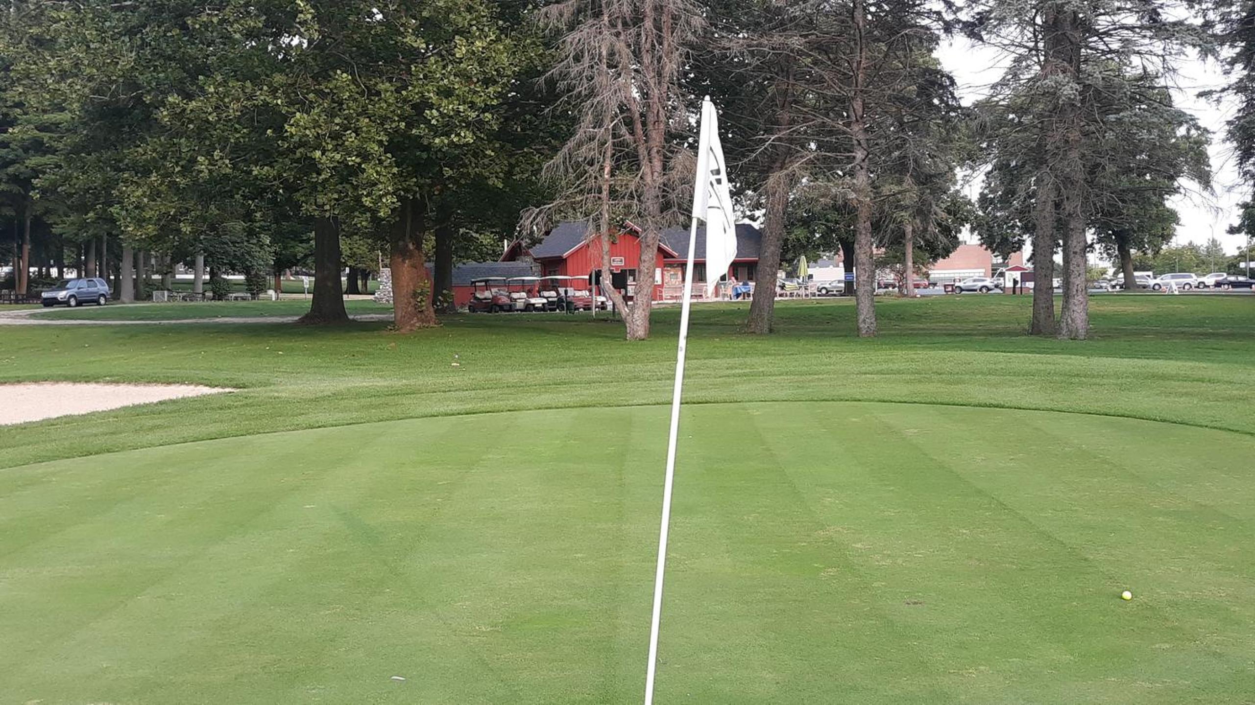 Custer Greens