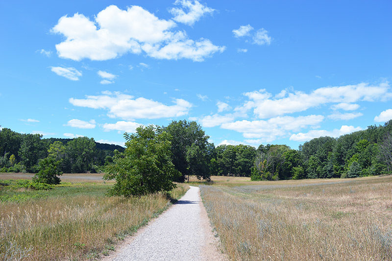 Hickory Meadows3