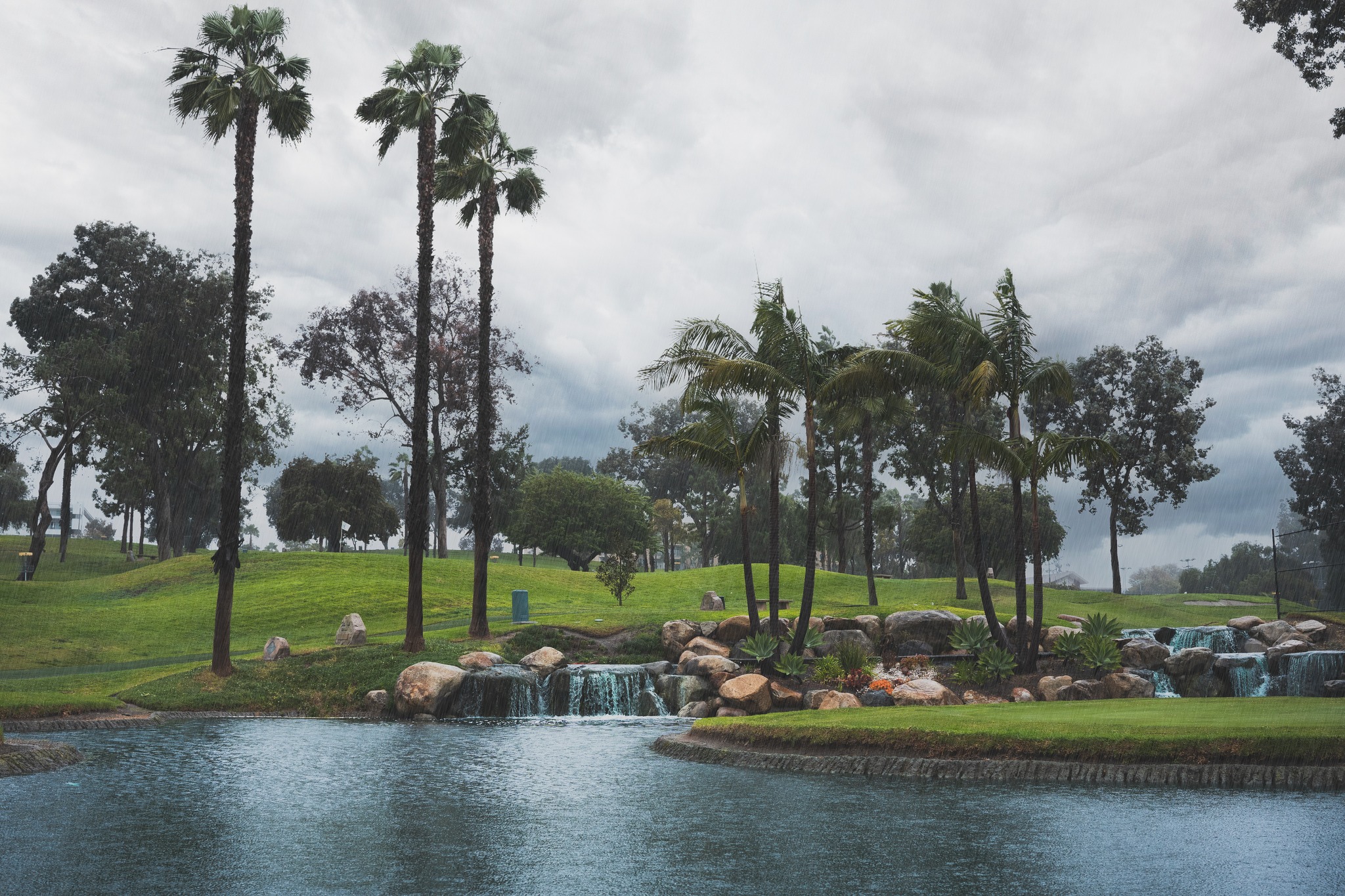 Colina Park Golf Course4