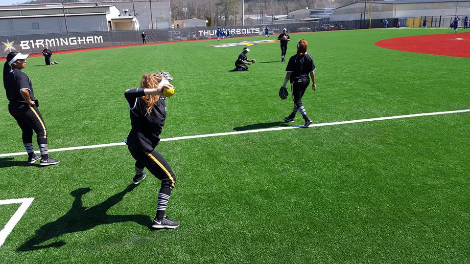Shea Brothers Softball Complex6