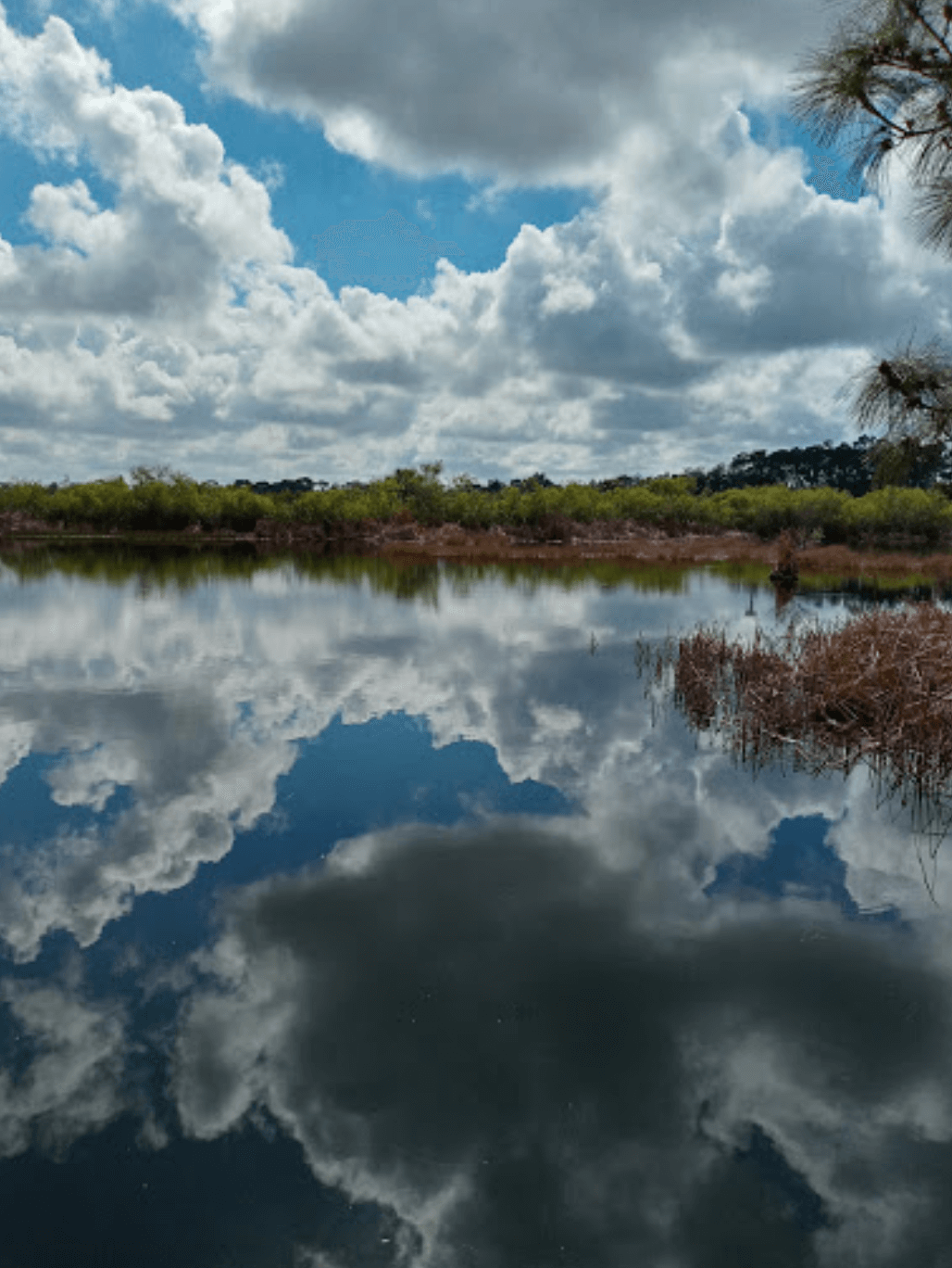 Sugden Regional Park 1