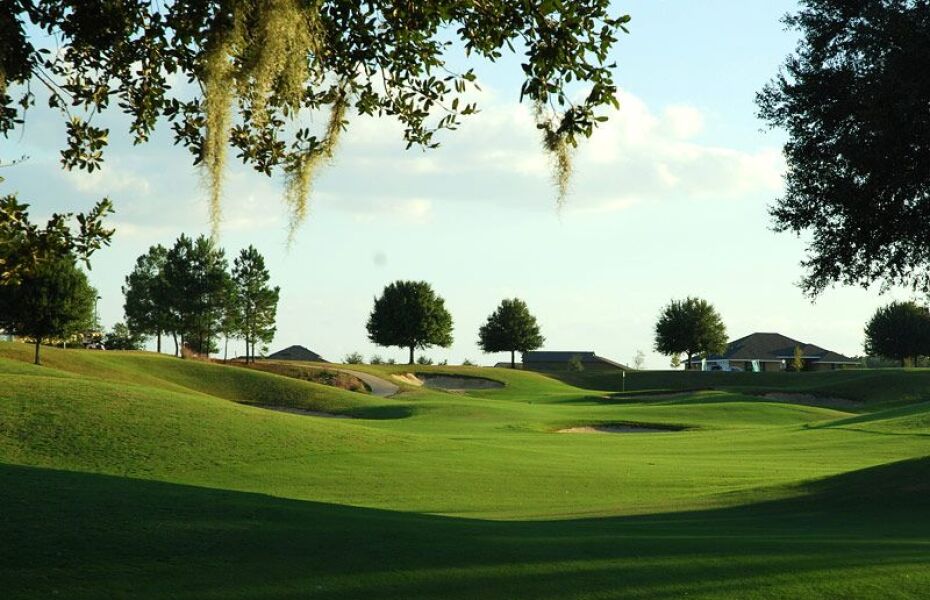 black bear golf club 2