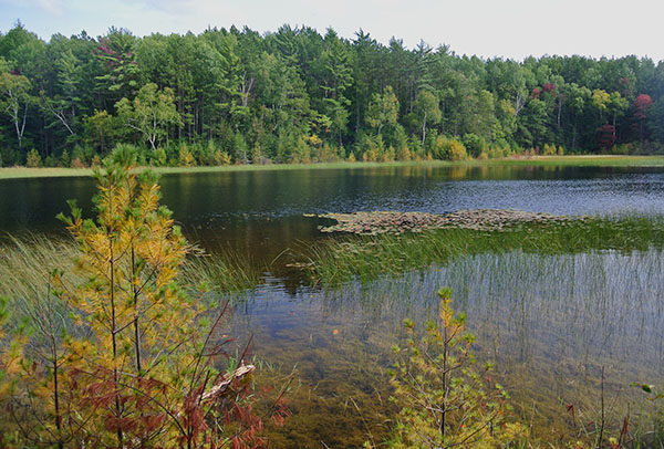 Sand Lakes Quiet Area 1