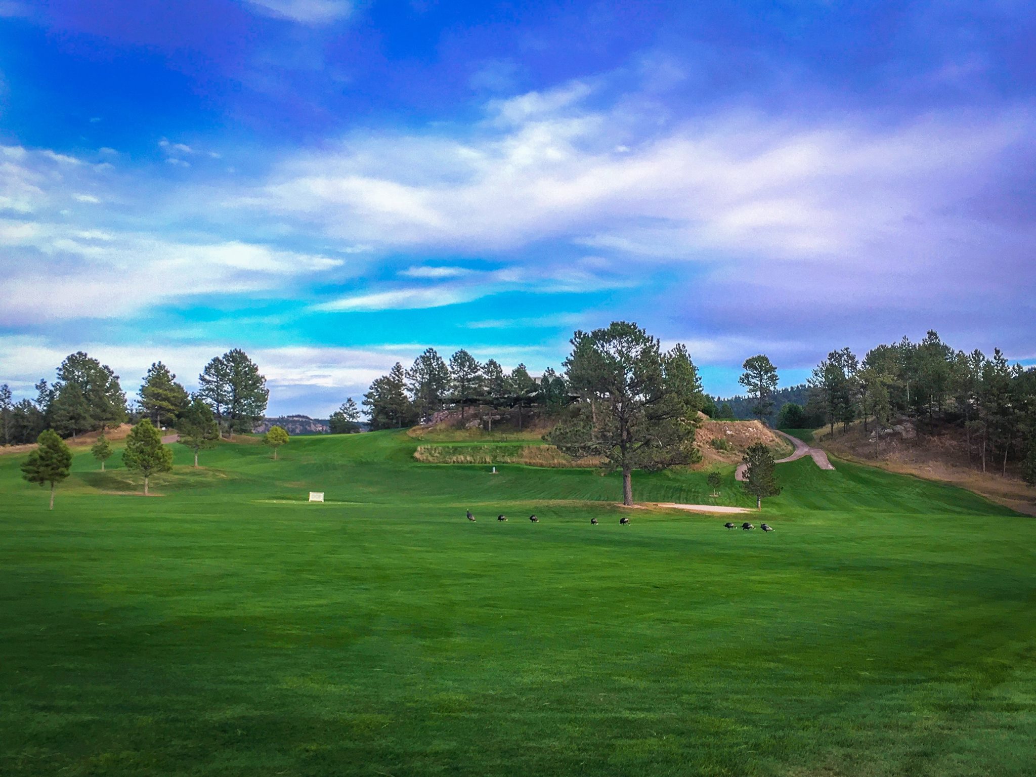 Southern Hills Golf Course4