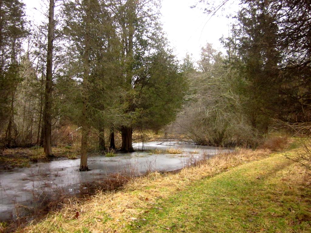 Wau-Ke-Na, William Erby Smith Preserve10