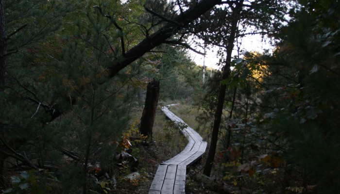 Reffitt Nature Preserve 1