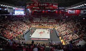 WKU VB.jpeg
