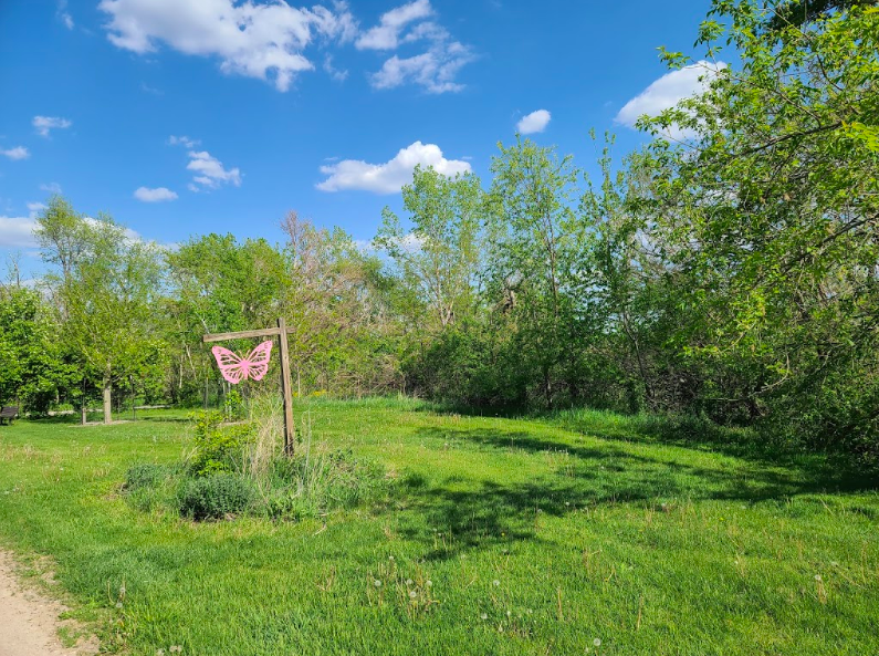 morgan creek park 2
