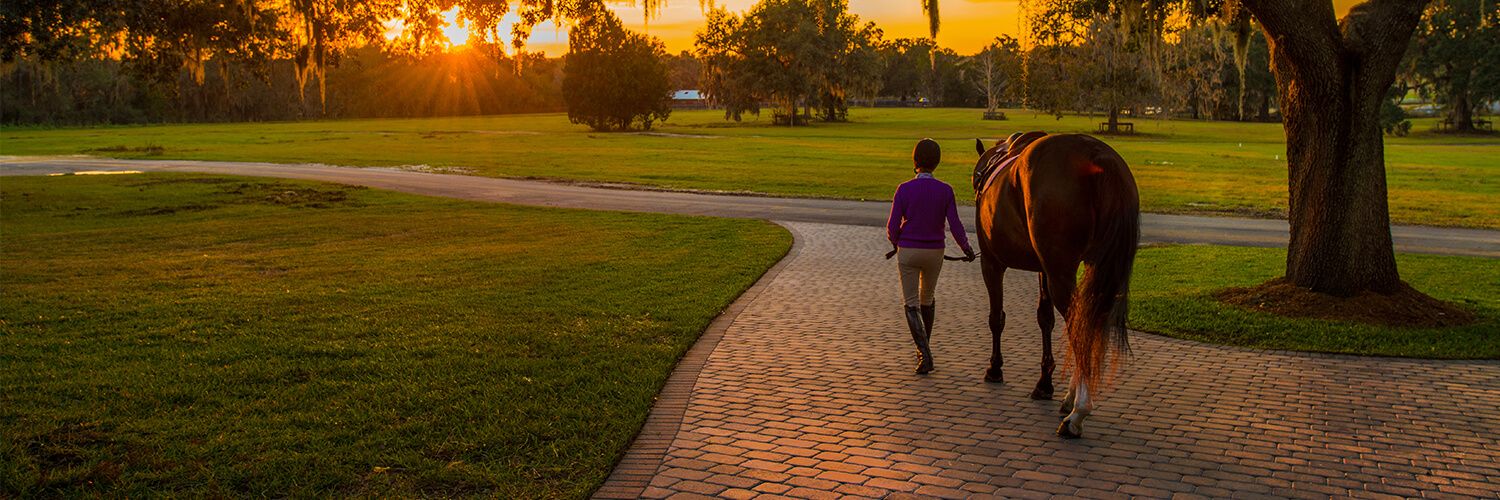 Golden Ocala Golf and Equestrian Club3