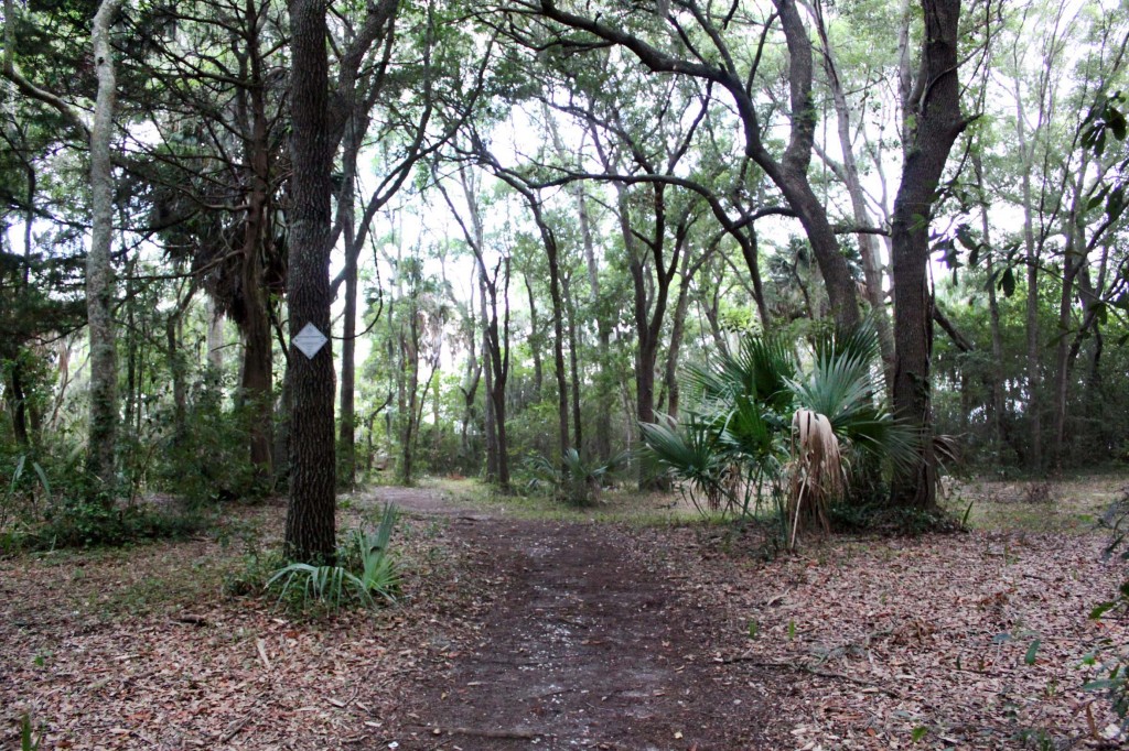 Greens Shell Park 6
