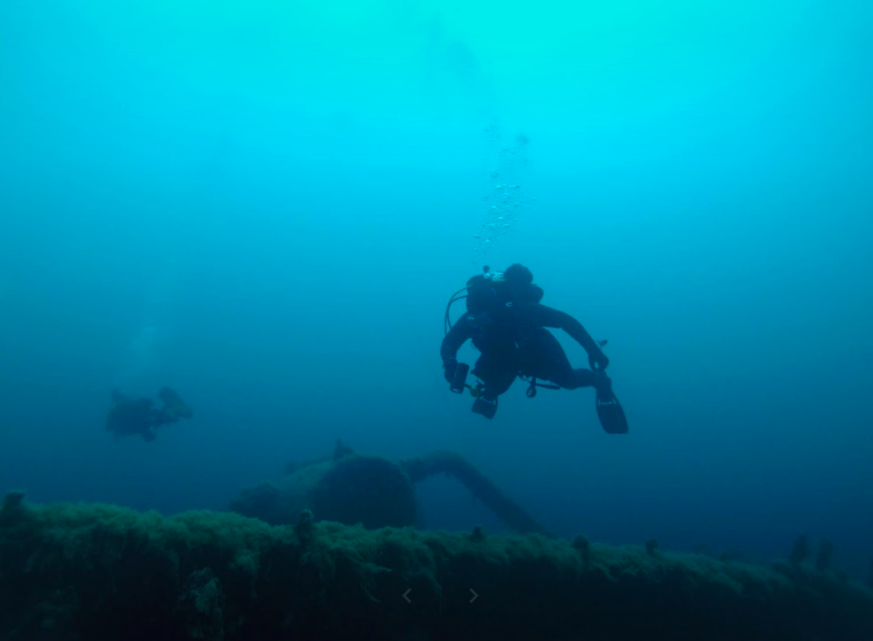 The Dive Shop 3