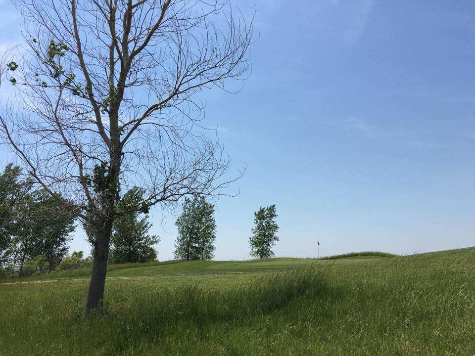 Old Dane Golf Club