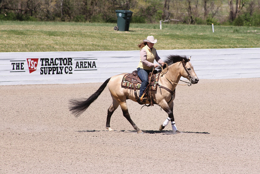 Tractor Supply Arena 6