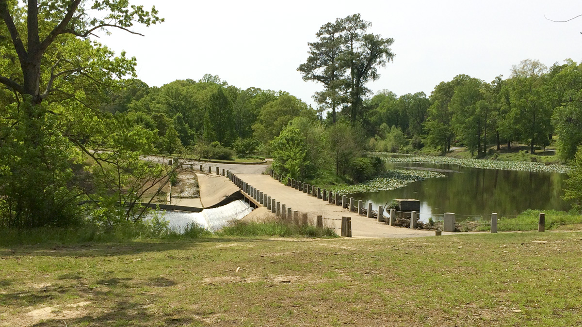 Bryan Park 2