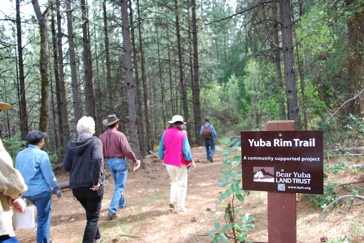 Yuba Creek Trail 4