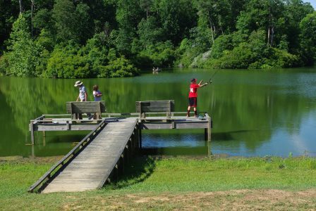 York River State Park 4