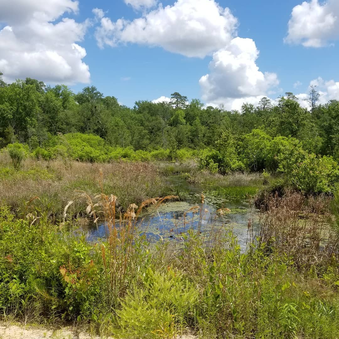 H. Cooper Black Jr. Memorial Field and Recreation Area2