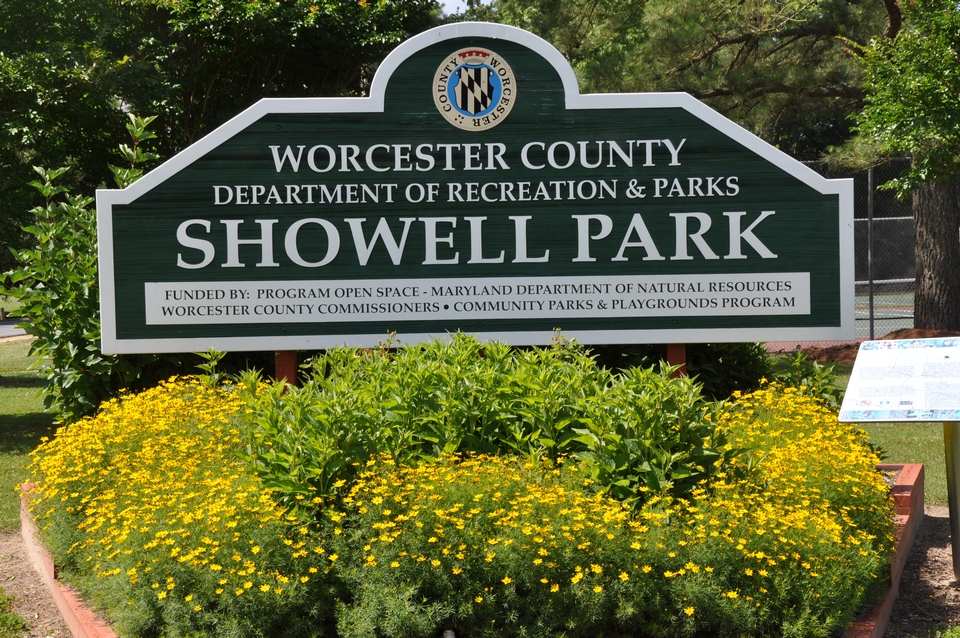 showell1