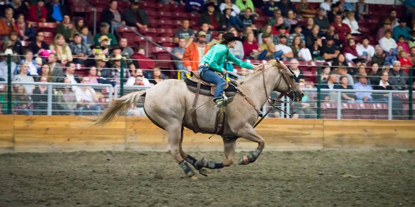 Evergreen Equestrian Park5