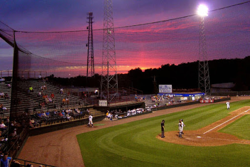 burlington bees baseball
