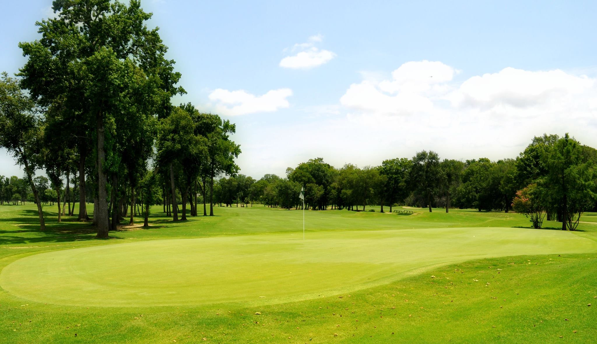 Hollytree Country Club7