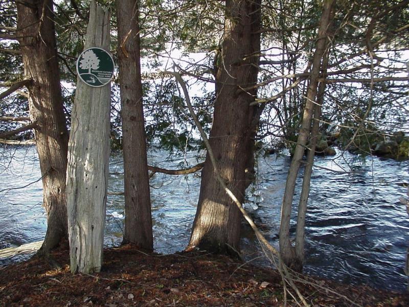 Cedar River Natural Area 3