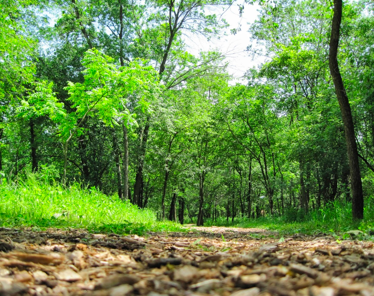 prairiewoods franciscan spirituality center 4