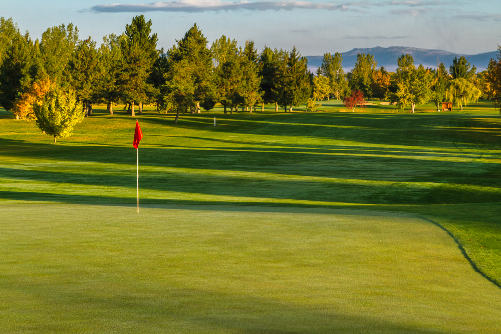Larchmont Golf Course 1