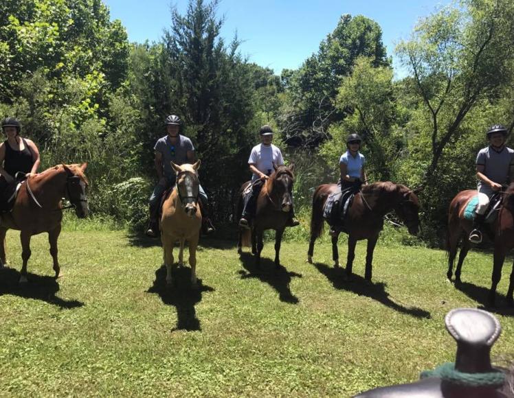 Shelby Trails Park 5