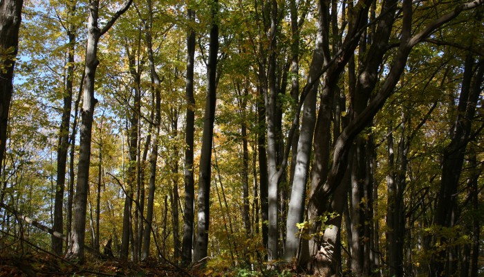 Fruithaven Nature Preserve4