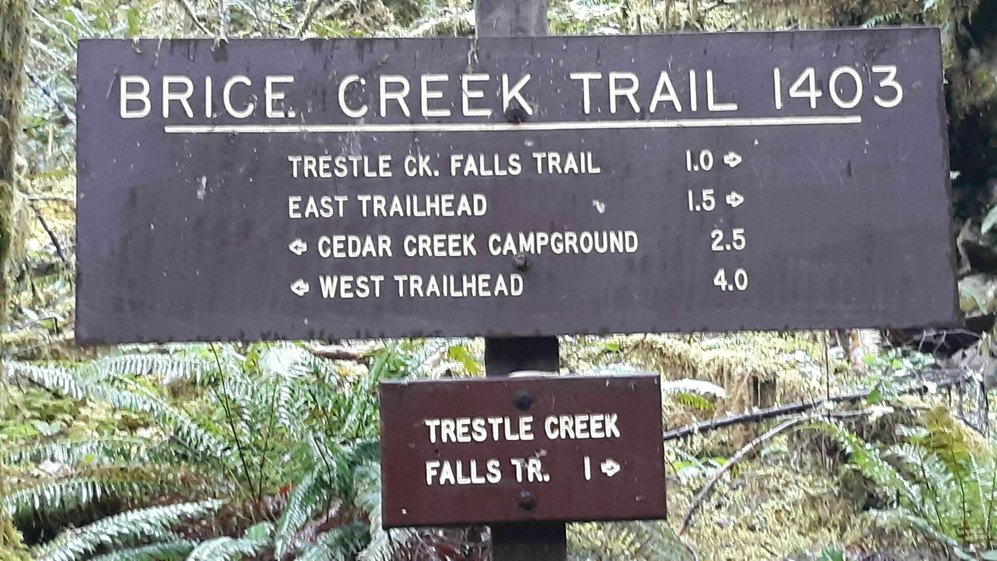 Umpqua National Forest2