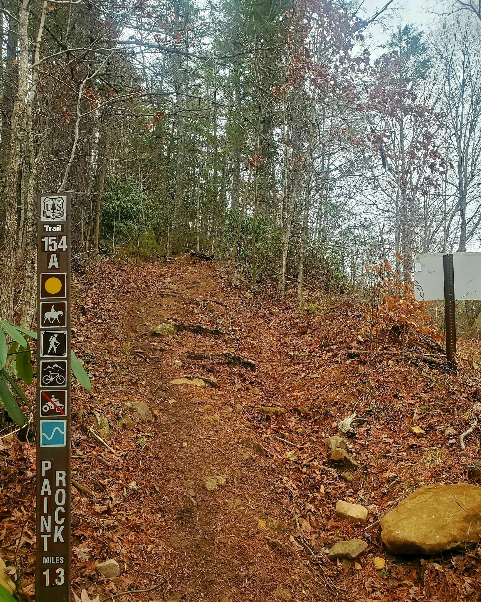 Paint Mountain4