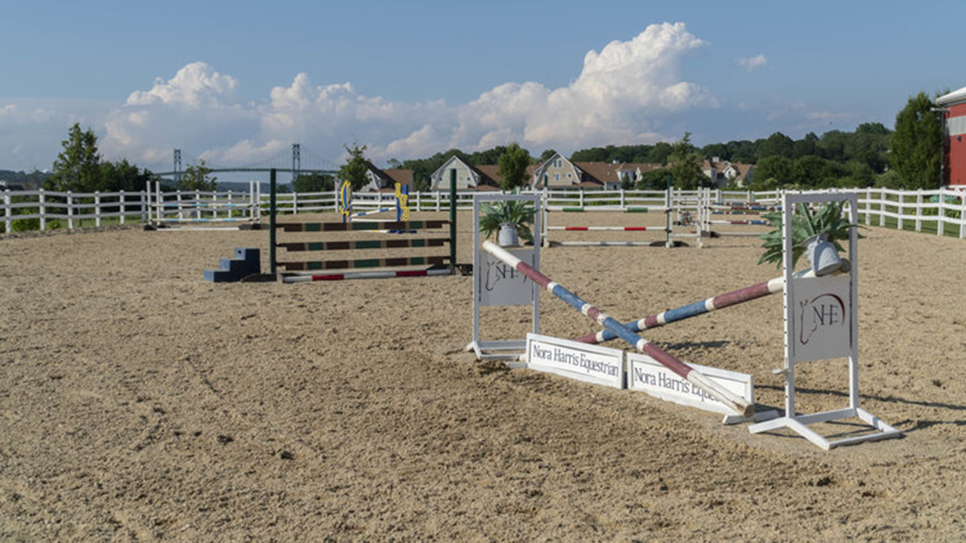 Nora Harris Equestrian2