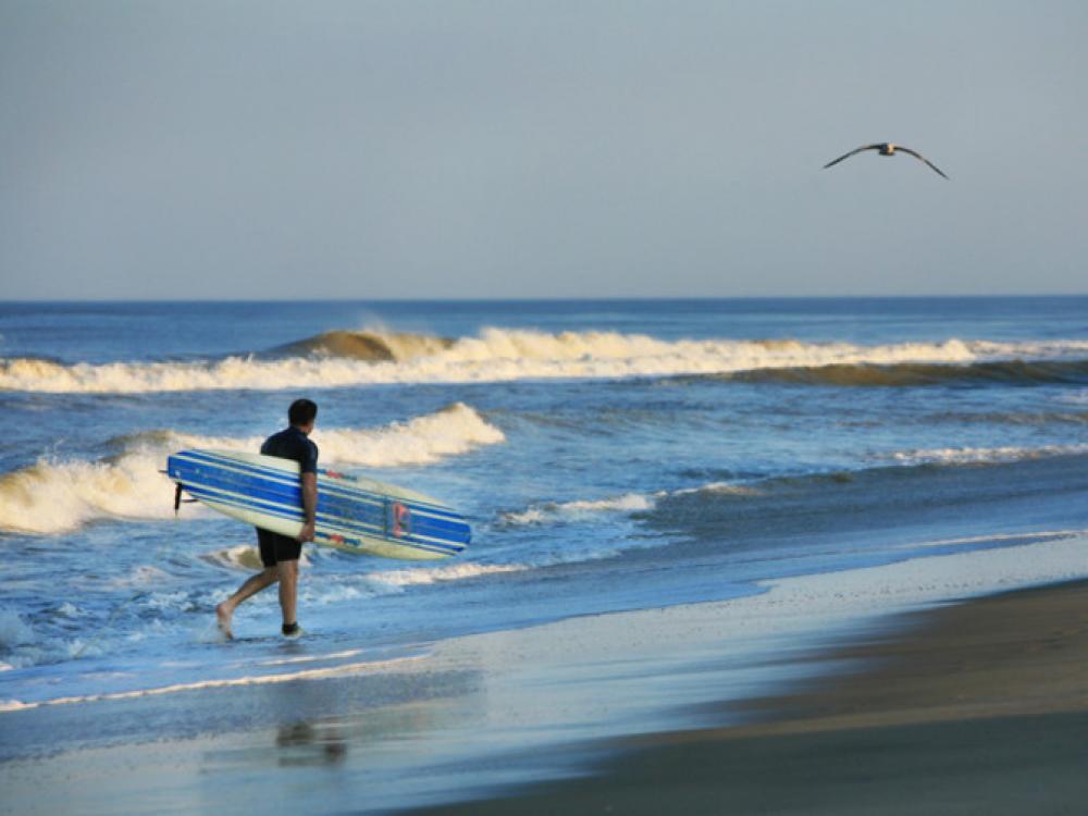 Fenwick Island State Park5