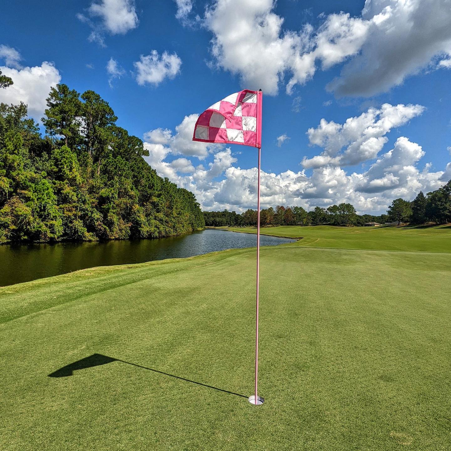 World Golf Village 2