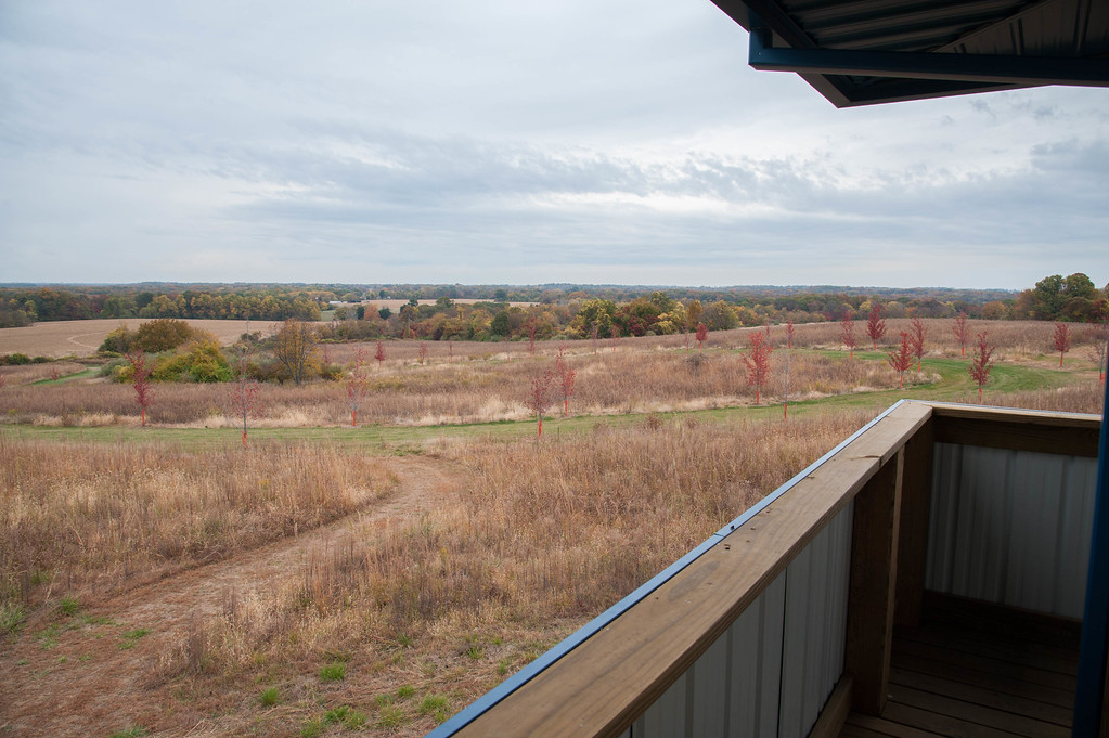 Tower View.jpg