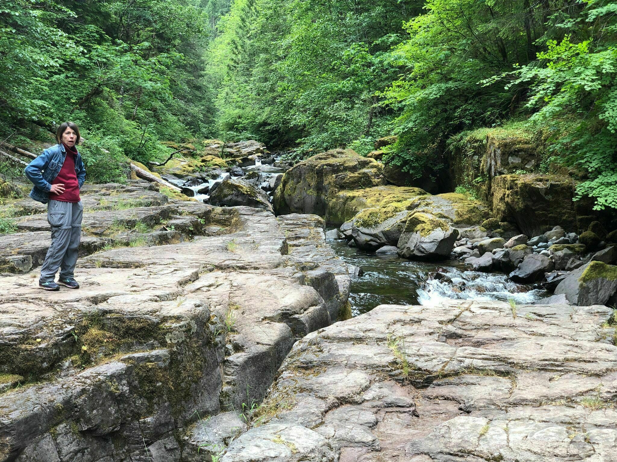 Umpqua National Forest7